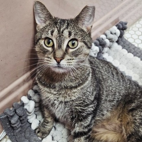 Flora wants to come home with you! 